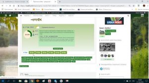 ПРОГНОЗ КЛЁВА РЫБЫ_(ВИДЕО ИНСТРУКЦИЯ)_