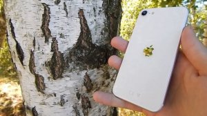 Стоит ли покупать БУ или восстановленный iPhone в 2023 году!?