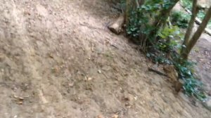 Походный оптимист. Это видео для тебя. С уважением и любовью!