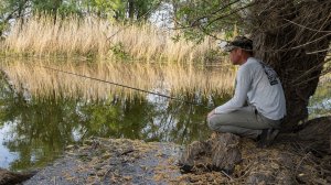 Только закинул, СРАЗУ КЛЮЁТ. Ловля воблы и карася на поплавок. Рыбалка как в детстве.