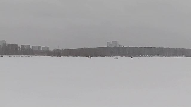 Рыбалка на Шарташе. 14.11.2021 смотреть онлайн