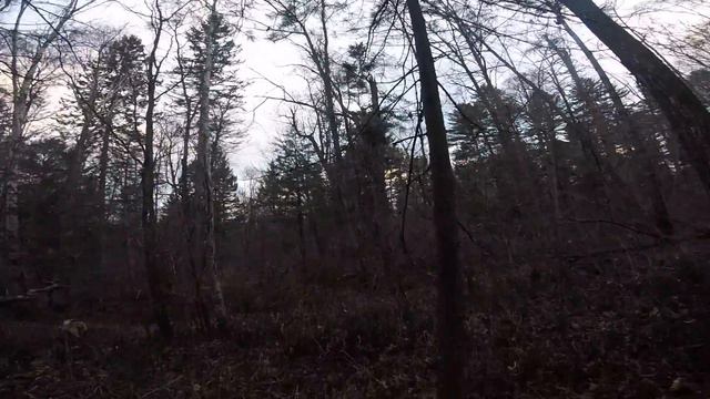 Охота на кабана смотреть онлайн