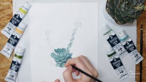 Painting Timelapse 【Echeveria purpusorum gliva】ボタニカルアート / 植物画