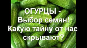 69. ОГУРЦЫ. Часть 2 - выбор сорта! Какую тайну о семенах от нас скрывают?