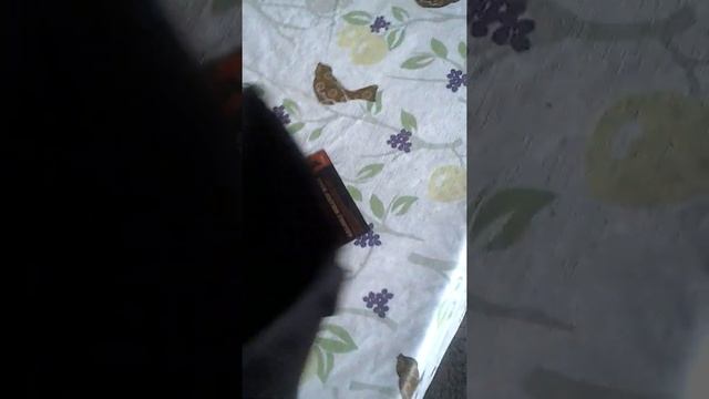 Chrome Yalta review смотреть онлайн