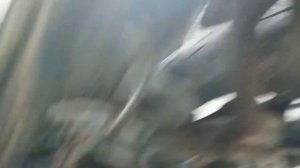 Хонда такт 30 . Техническое обслуживание контейнерного скутера.