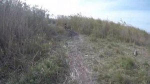 Охота и рыбалка Казахстан озеро Балхаш