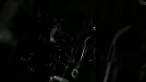 В двигатели яйцо