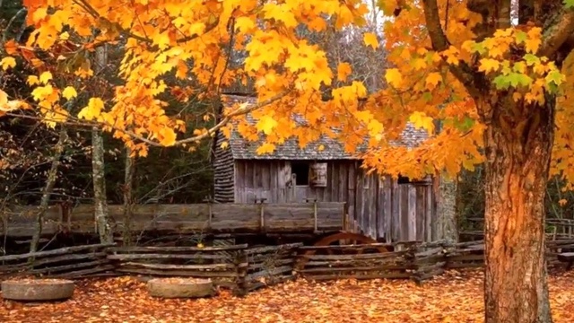 НОКТЮРН смотреть онлайн