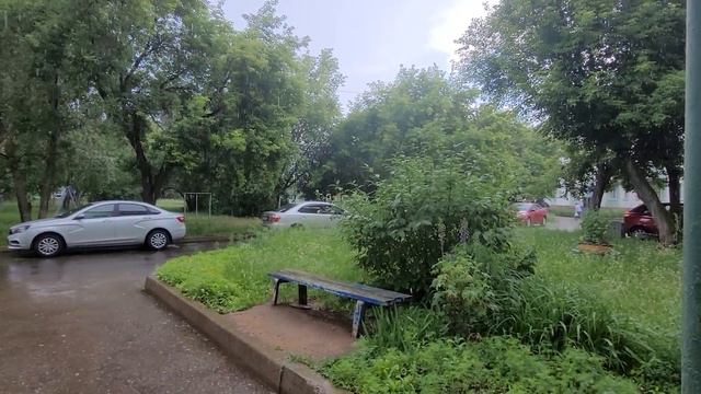 Сибирское лето/опять дожди/25.06.2022. смотреть онлайн