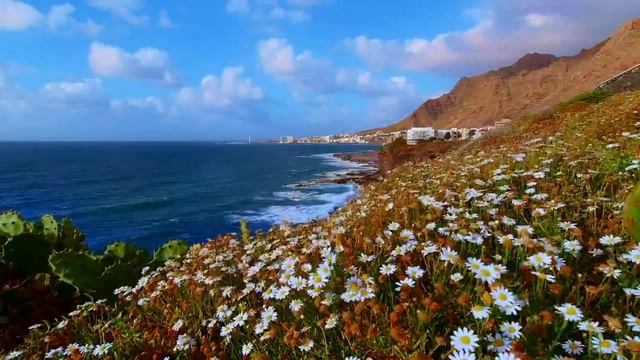 Очень красивая релакс музыка. Успокаивает нервную систему, нежная и лечебная музыка./Relax the BEST смотреть онлайн