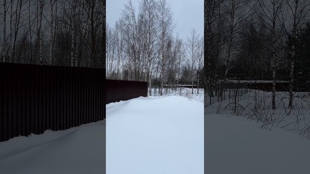Продается отличный земельный участок 15 соток с фундаментом в деревне Снятиново, Александровский р-