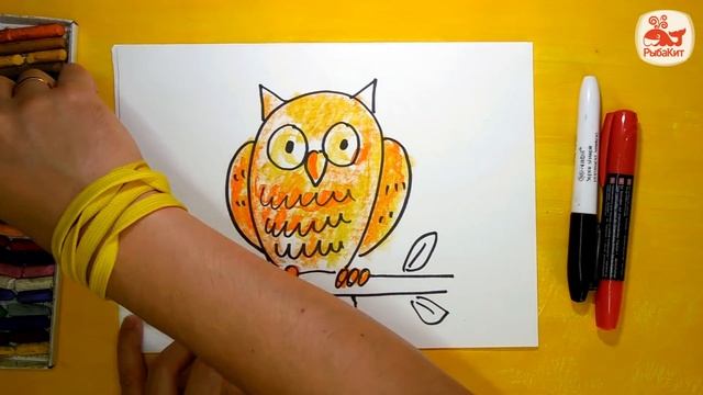 Как нарисовать Сову. Урок рисования для детей от 3 лет