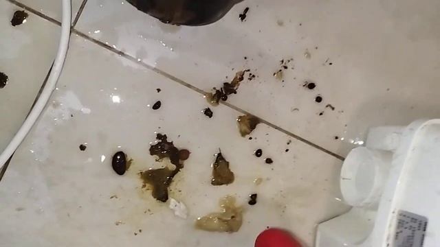 почистил сололифт смотреть онлайн