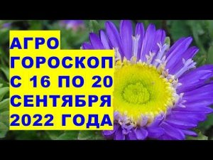 Агрогороскоп с 16 по 20 сентября 2022 года