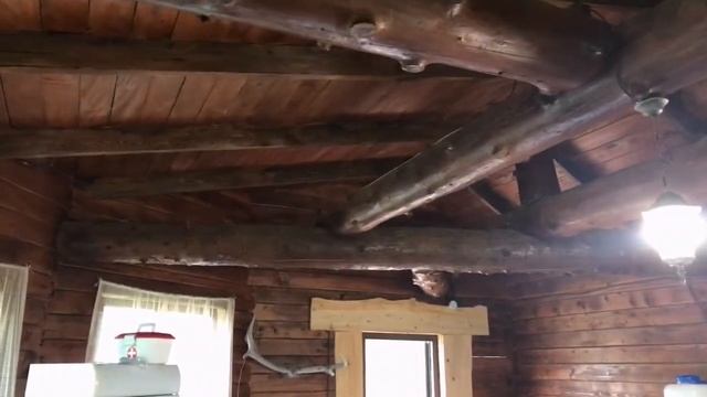 Беседка в Гостевом Дворе Сказочный смотреть онлайн