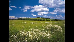 Презентация «РоссиЯ»