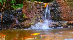 Звуки природы. Чистое журчание горного ручья 10 часов, 4k.