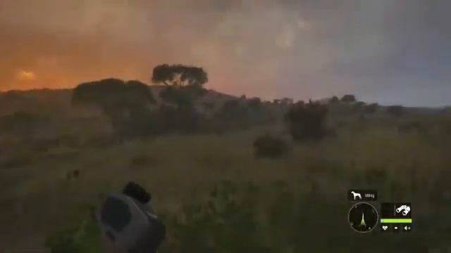 Hunter Call Of The Wild - Lets Hunt The Savanna Reserve - Offline Mode смотреть онлайн