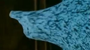 Videodrome (David Cronenberg 1983)