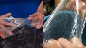 МИКСИНЫ - Невероятно слизистые создания