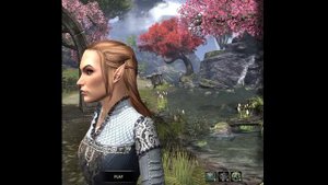 ESO Character Creation: Female Altmer (High Elf) Face Sliders
