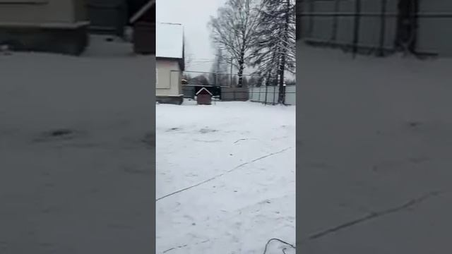 Питерская сваебойка смотреть онлайн