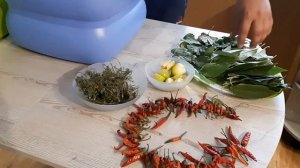 Квасим арбузы на зиму, рецепт, который передается из поколения в поколение