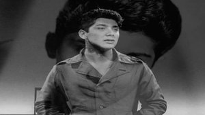 Paul Anka ~ Your Love (Stereo)