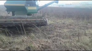Уборка подсолнечника комбайном нива ск-5