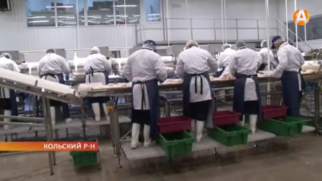 Полярное море+