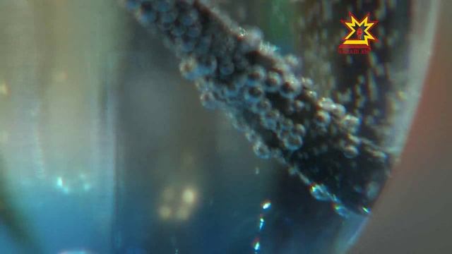 В техникуме технологии и коммерции прошел день открытых дверей смотреть онлайн