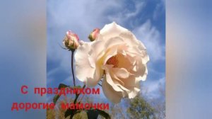 С праздником Мамы! Слайд - шоу моей розы Шраб Рококо.