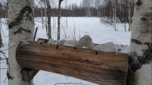 Совмещаю приятное с полезным.  Подкормка лосей. Кормушки. Солончаки. Охотничий лабаз.