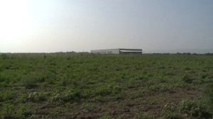 ЯБЛОНЕВЫЕ САДЫ