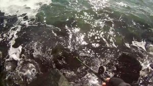 Рыбалка на Черном море зимой/Winter fishing in the black sea