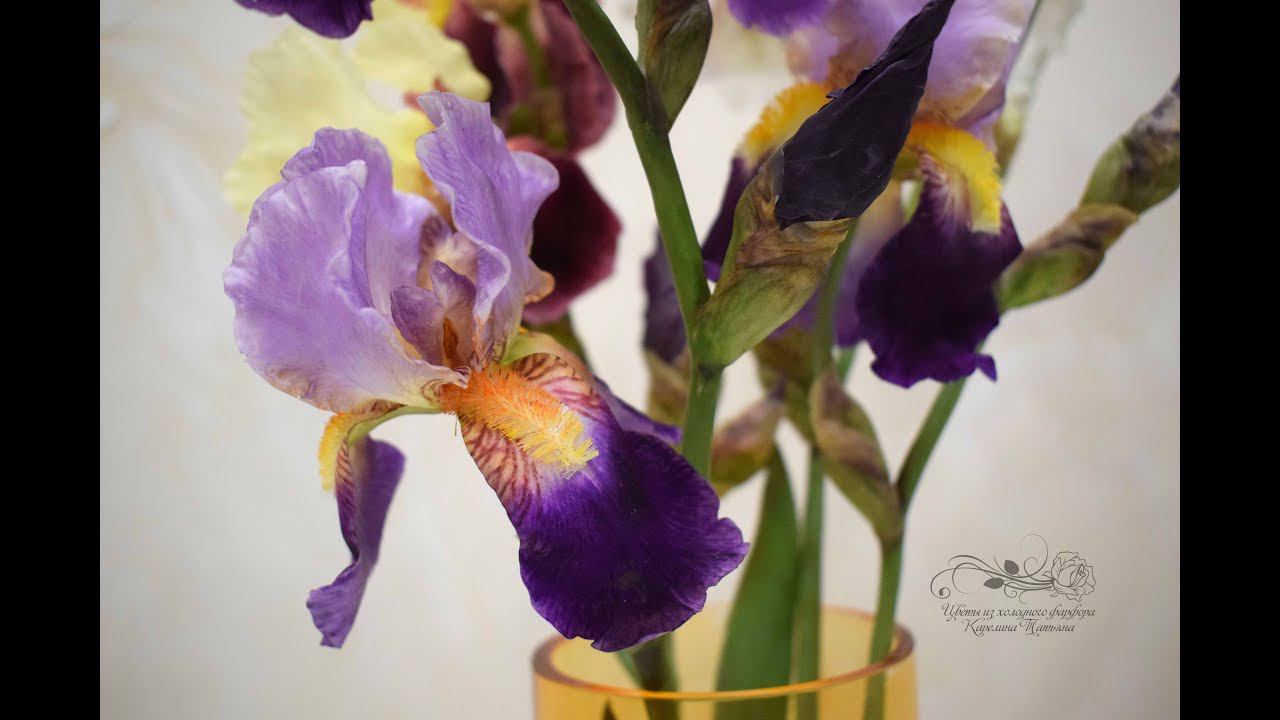 Ирис бородатый. Обзор инструментов для лепки ириса из холодного фарфора смотреть онлайн
