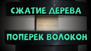 Сжатие древесины поперек волокон. Сопромат | Эксперимент | iSopromat