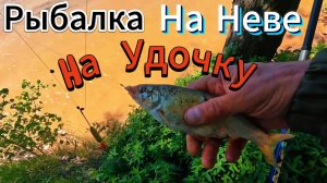 РЕКА НЕВА РЫБАЛКА ЛОВИМ ГОЛОВЛЯ ПЛОТВУ ОКУНЯ