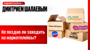 Как строить бизнес на российских маркетплейсах  в 2024 г / Консалтинговая компания Дмитрия Шалаева