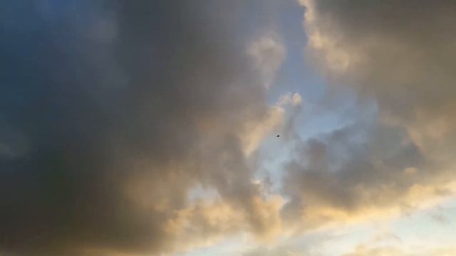 Eflite F16 Thunderbird & FMS F16 Aggressor formation смотреть онлайн