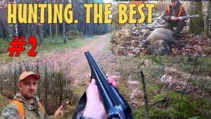 HUNTING. The Best. Охота на лося, кабана и косулю. Лучшее. #02