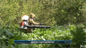 Рыбинск-40. БОРЬБА С БОРЩЕВИКОМ