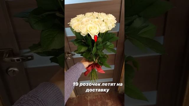 РОЗЫ АВАЛАНЧ БУКЕТ 19 РОЗ