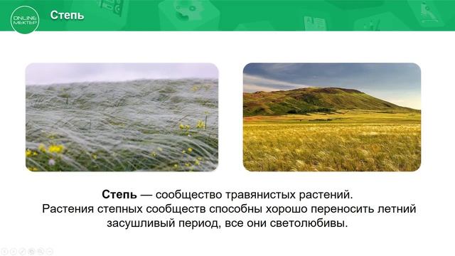 3 класс. Естествознание. 5 урок. Какие бывают природные сообщества растений?