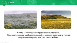 3 класс. Естествознание. 5 урок. Какие бывают природные сообщества растений?