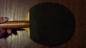 Tenis Stołowy Deska Butterfly Zoran Primorac OFF-