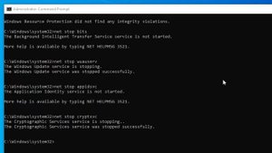 Reset Windows Update components on Windows 10 using CMD (Fix Windows Update Errors) 2024