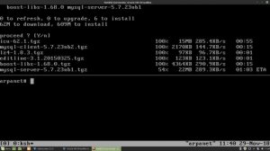 NetBSD 8.0 mysql parte 1