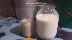 Как переводить телят с молока на ЗЦМ